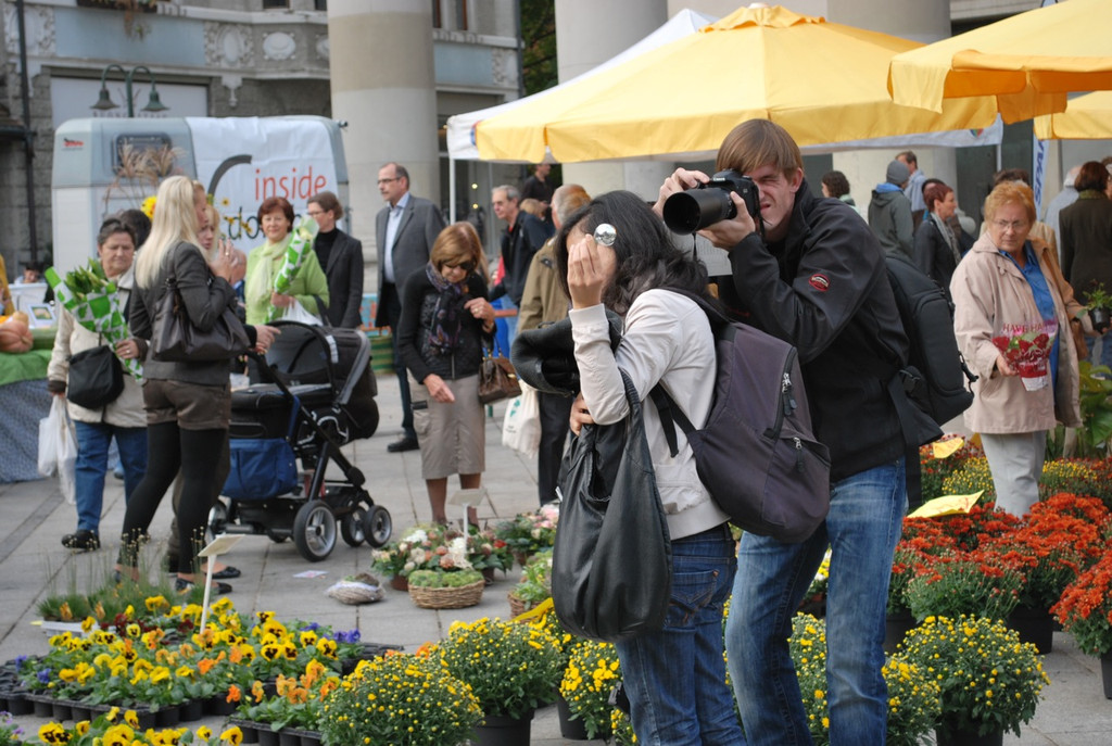 DSC_0064_jpg-1286866133