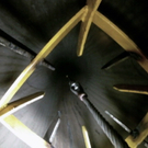 dc1-5wlat77ziq1awh196u1_original.jpg