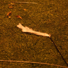 normal_12102010oberleitungtaaktivnews_15.jpg