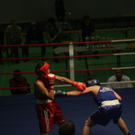 normal_0910210boxentaaktivnews_04.jpg