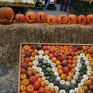 k_kfest 10_10_10 037.jpg