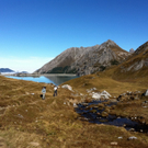 KOE_L__nersee Rundwanderung 12_jpg-1287076119
