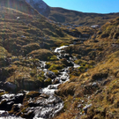 KOE_L__nersee Rundwanderung 13_jpg-1287076129