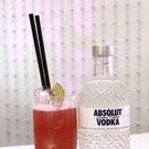 drink1.JPG