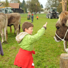 Vieh H__chst 15_10_2010 56_jpg-1287155807
