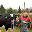 Vieh H__chst 15_10_2010 94_jpg-1287155941