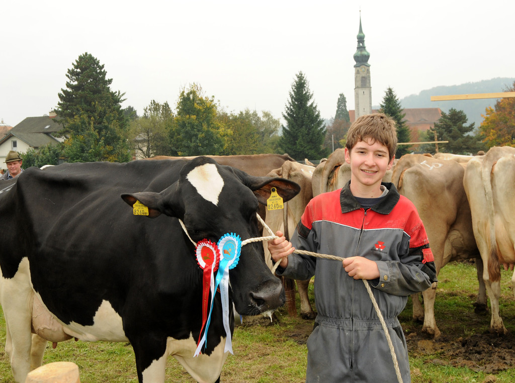 Vieh H__chst 15_10_2010 94_jpg-1287155941