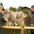 Vieh H__chst 15_10_2010 100_jpg-1287155956
