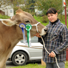 Vieh H__chst 15_10_2010 103_jpg-1287155972