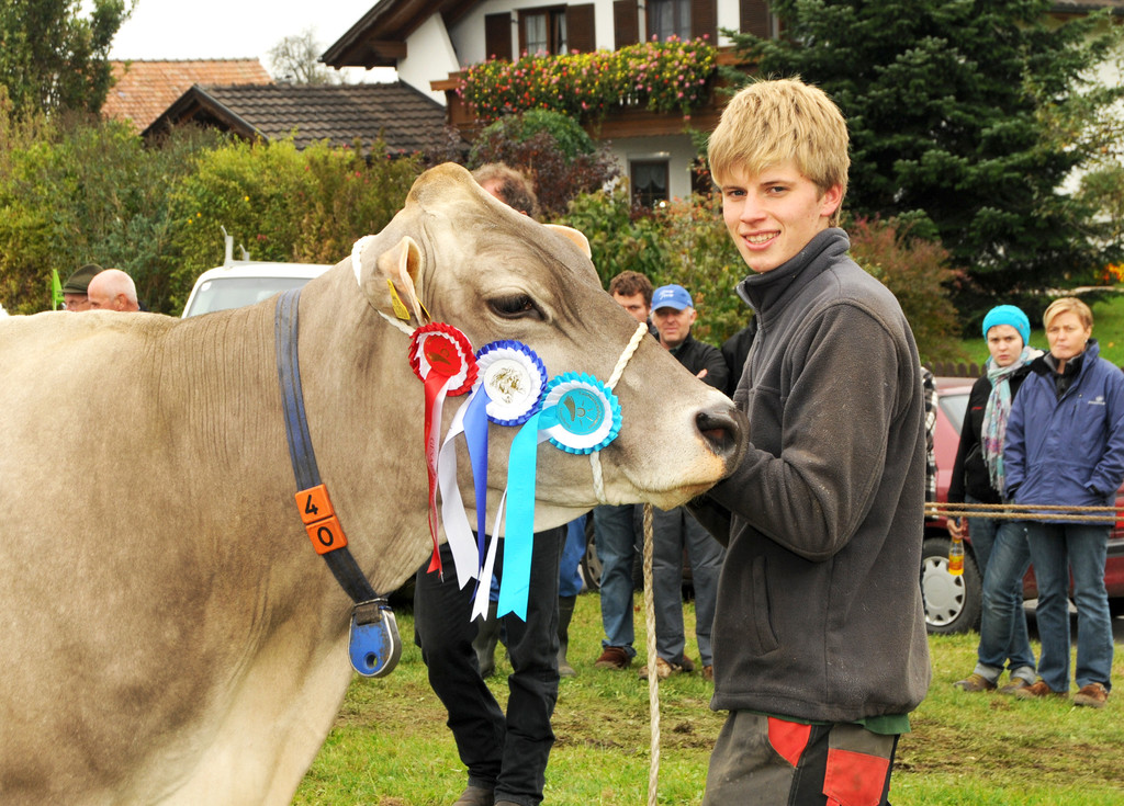 Vieh H__chst 15_10_2010 109_jpg-1287156008