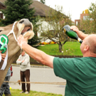 Vieh H__chst 15_10_2010 113_jpg-1287156023