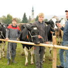 Vieh H__chst 15_10_2010 62_jpg-1287156839.jpg