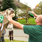 Vieh H__chst 15_10_2010 113.jpg