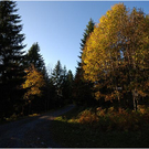 20101011_hirschberg_015_luc.JPG