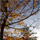 20101011_hirschberg_026_luc.JPG