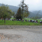 IMG_4222 _Large__JPG-1287209927