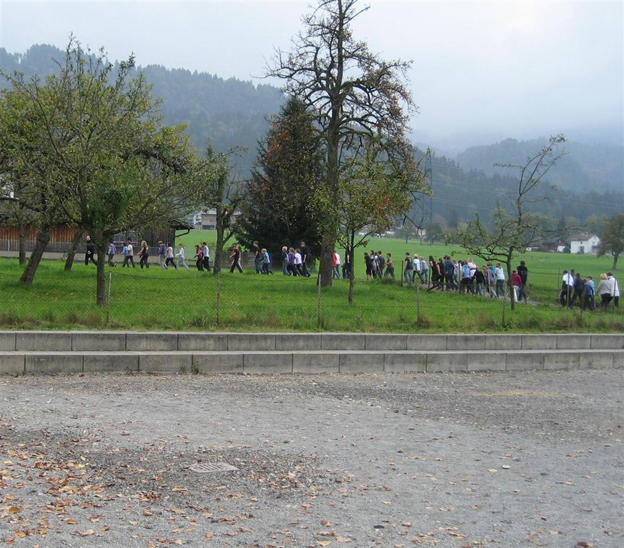 IMG_4222 _Large__JPG-1287209927