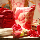 hm home collection 2009 presentation showroom wien - florian wieser _30_.jpg