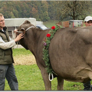 15_10_2010 viehausstellung hittisau26.jpg