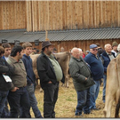 15_10_2010 viehausstellung hittisau3.jpg