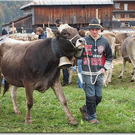 15_10_2010 viehausstellung hittisau40.jpg