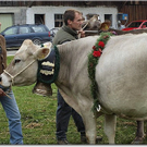 15_10_2010 viehausstellung hittisau75.jpg