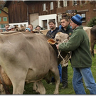 15_10_2010 viehausstellung hittisau8.jpg