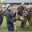 15_10_2010 viehausstellung hittisau87.jpg