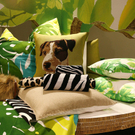 hm home collection 2009 presentation showroom wien - florian wieser _48_.jpg