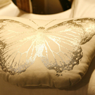 hm home collection 2009 presentation showroom wien - florian wieser _11_.jpg