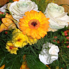 DSC03064.JPG