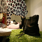 hm home collection 2009 presentation showroom wien - florian wieser _37_.jpg