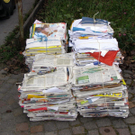 PA160089_JPG-1287227017