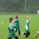 P1140670_JPG-1287242536