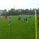P1140682_JPG-1287243226