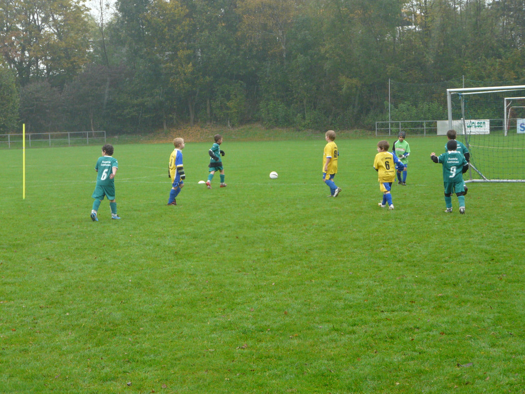 P1140704_JPG-1287244194