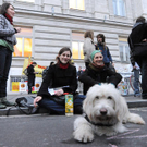 wien6.jpg