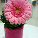 IMG_6005.JPG