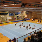 Kuhausstellung und Turner 054.jpg