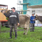 Kuhausstellung und Turner 017.jpg