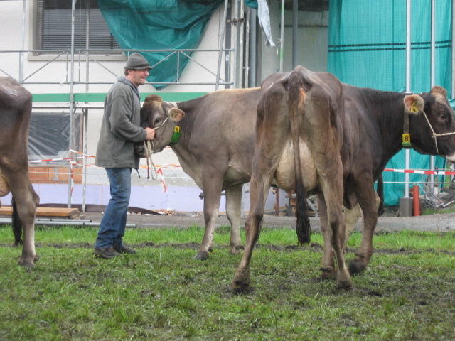 Kuhausstellung und Turner 020.jpg