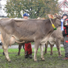 Kuhausstellung und Turner 022.jpg