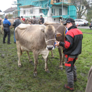 Kuhausstellung und Turner 029.jpg