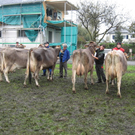 Kuhausstellung und Turner 040.jpg