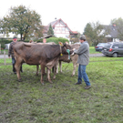 Kuhausstellung und Turner 043.jpg