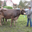 Kuhausstellung und Turner 044.jpg