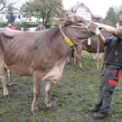 Kuhausstellung und Turner 047.jpg