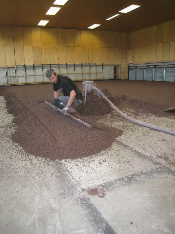 Mehrzweckhalle Sanierung Boden 2010 _1__jpg-1287317960