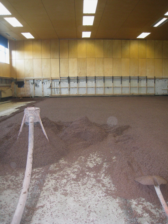 Mehrzweckhalle Sanierung Boden 2010 _2__jpg-1287317975
