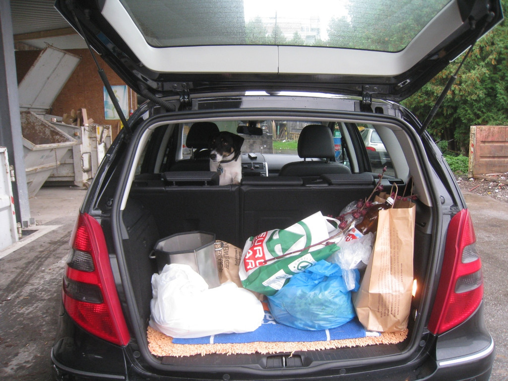 Recycling Sammelstelle WAAGE 2010 _27__jpg-1287320196